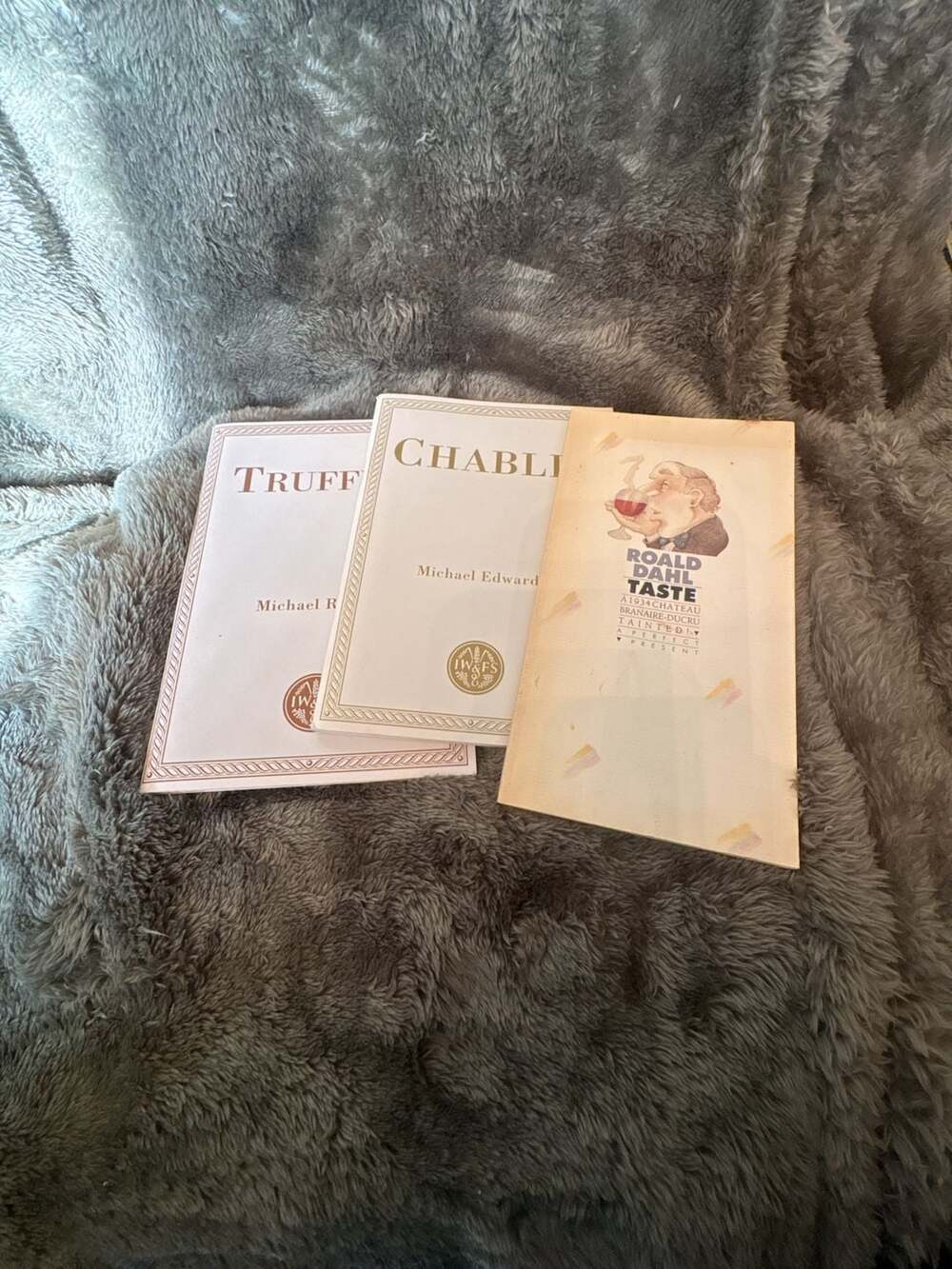 Roald Dahl Taste 1986 Paperback Book Illustrated By Etienne Delessert